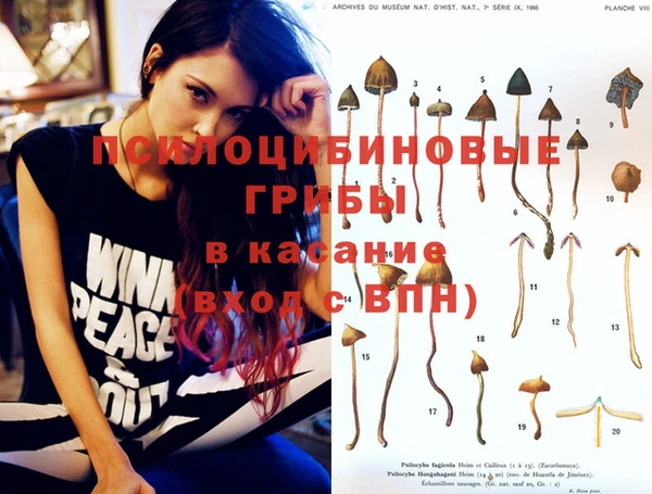 прущие грибы Арсеньев