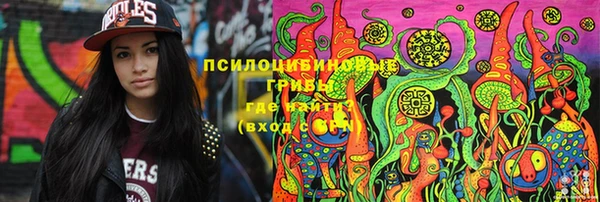 прущие грибы Арсеньев