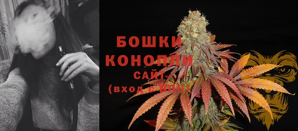 прущие грибы Арсеньев
