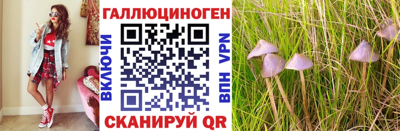 Галлюциногенные грибы мухоморы  Гаврилов Посад 